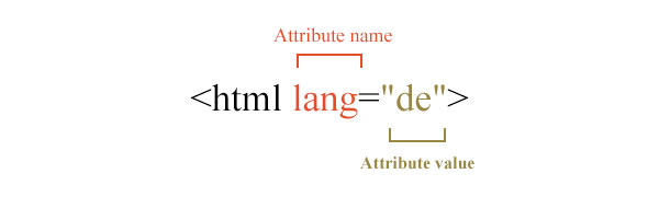Anatomy of an html attribute